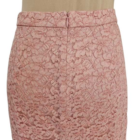 Aritzia Babaton Pink Floral Lace Embellished Midi Pencil Skirt Sz 8 - Picture 4 of 9